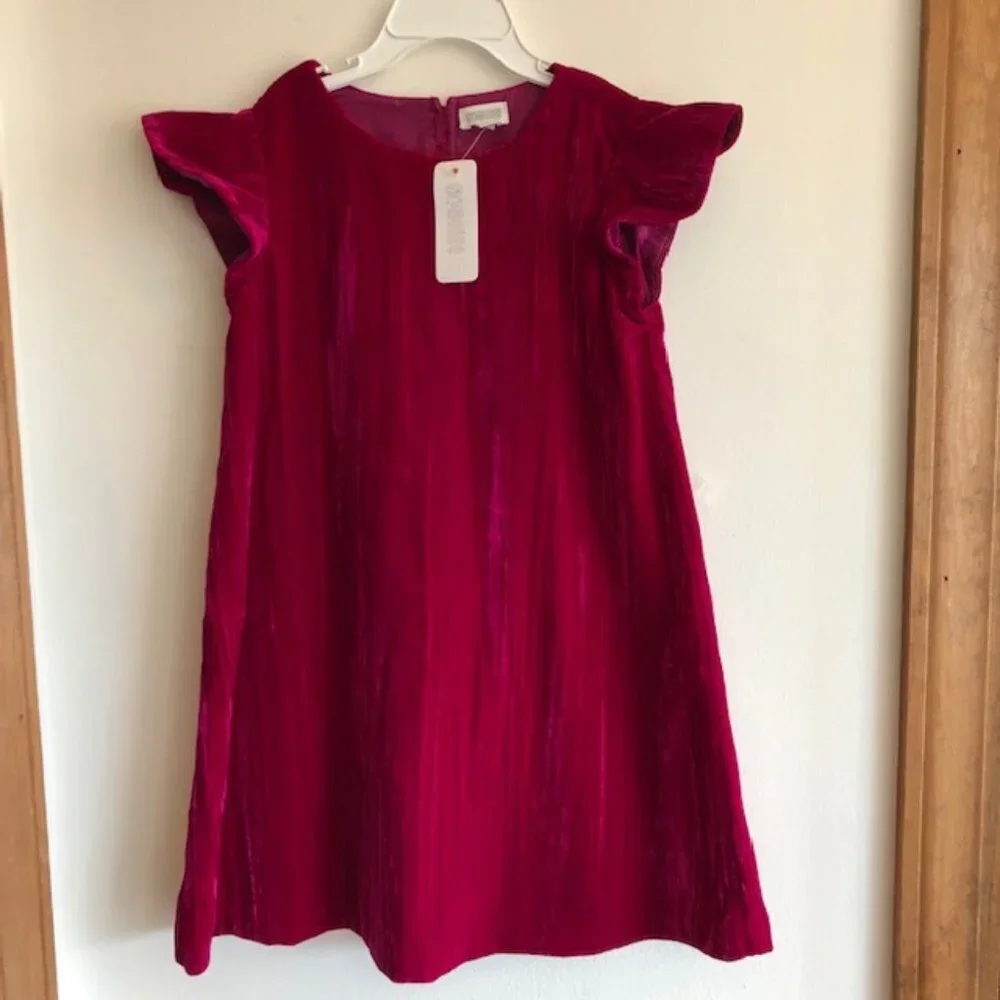 GYMBOREE Deep Pink Flutter Sleeve Velour Dress Girls 4